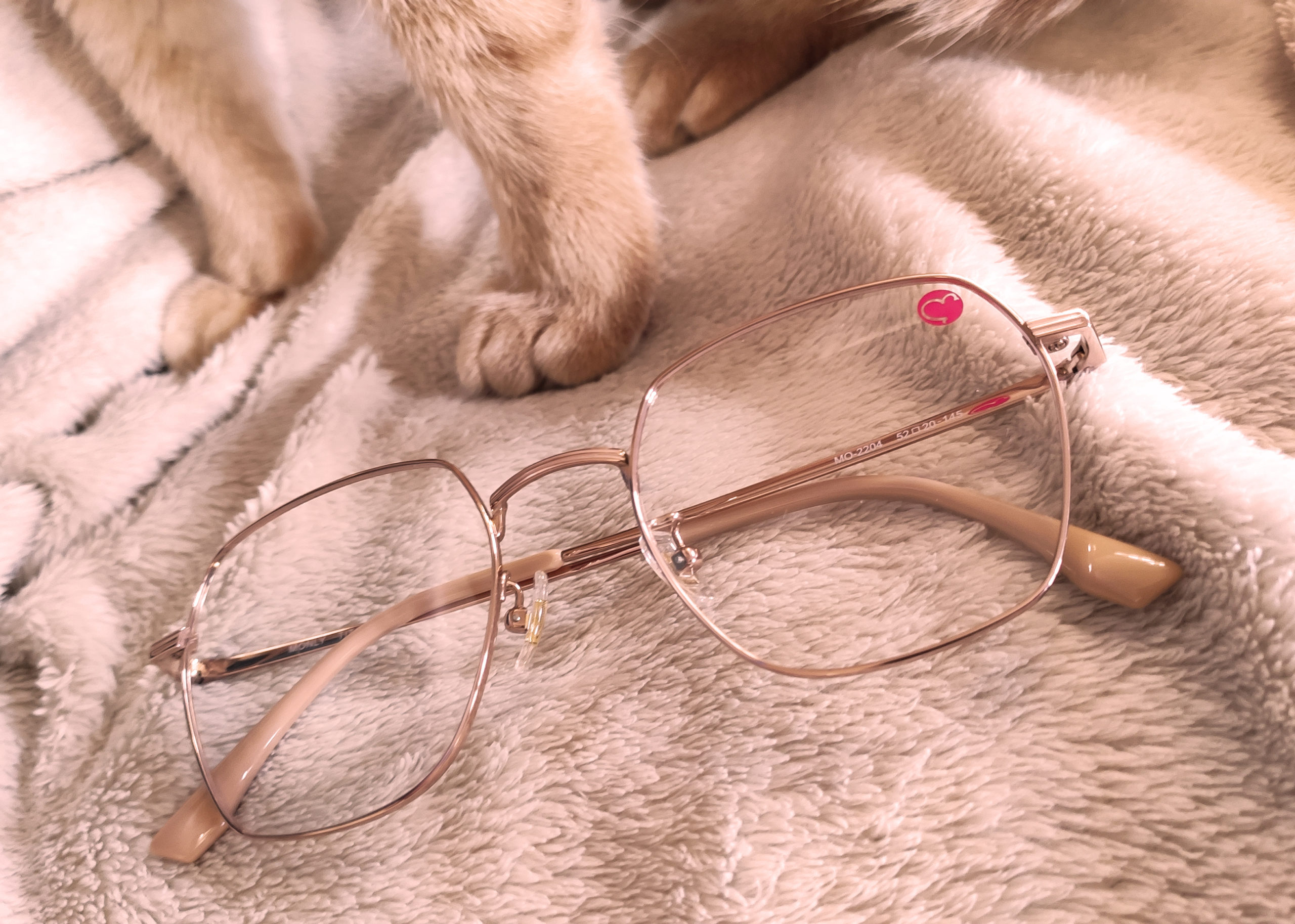 monly eyewear Mo-2204 眼鏡